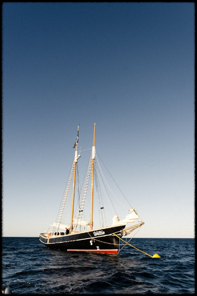 바다의 잊힌 영웅들: 영광스러운 6월 1일 해전