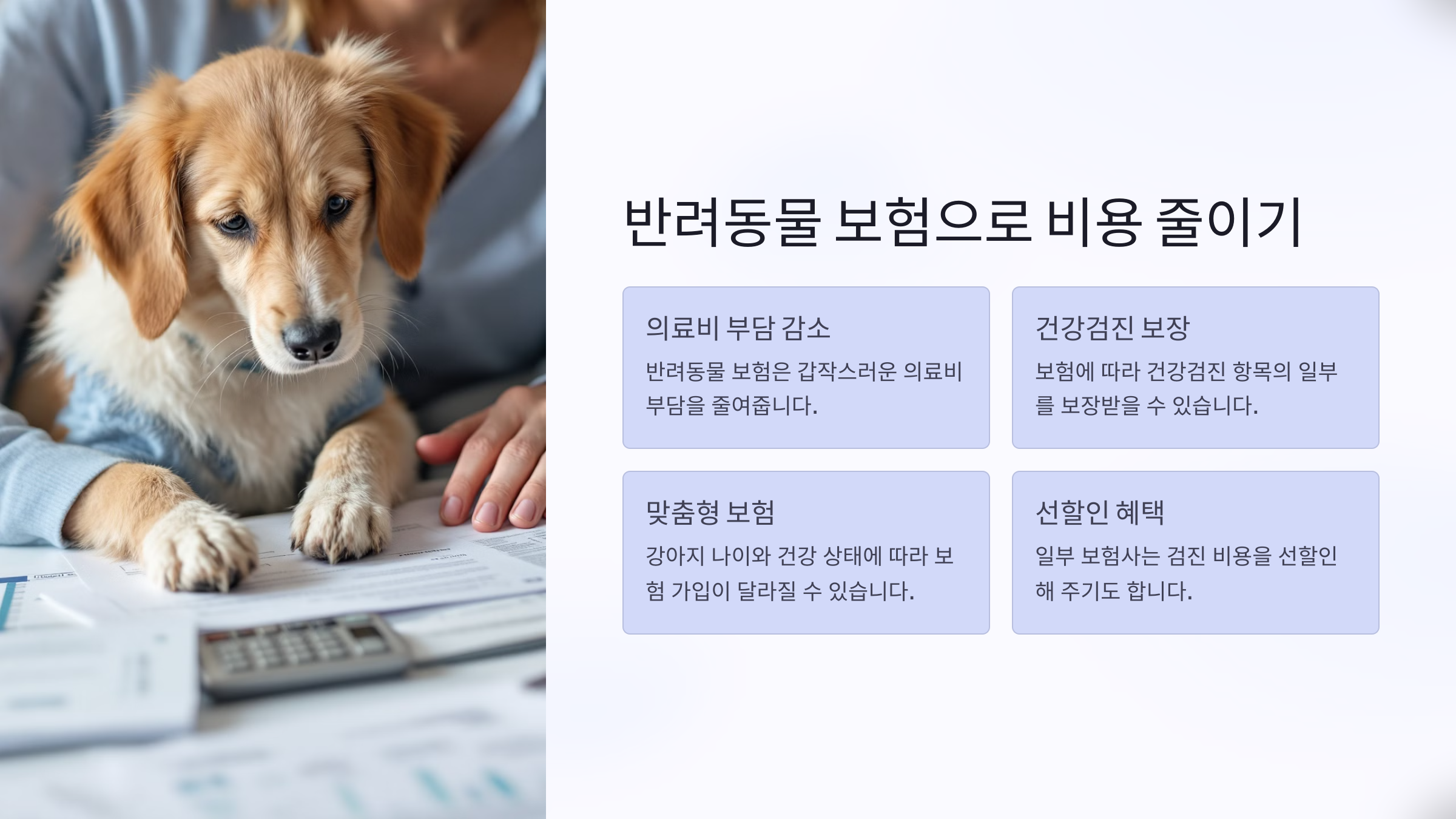 반려동물 보험으로 비용 줄이기