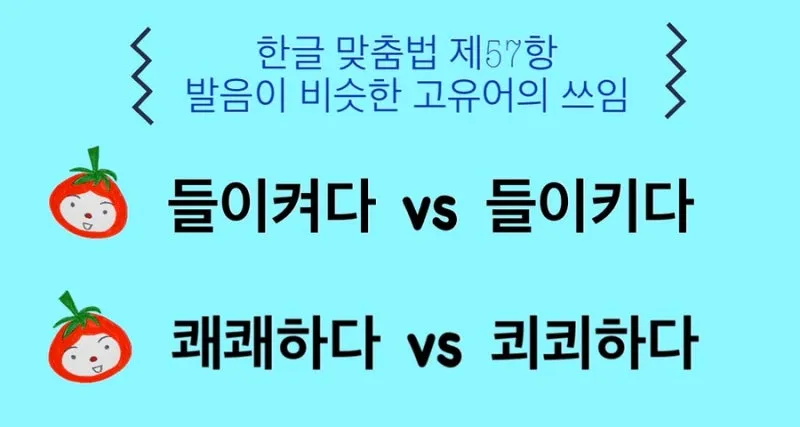 쾨쾨하다 쾌쾌하다 퀘퀘하다 맞춤법 사용 예문_7