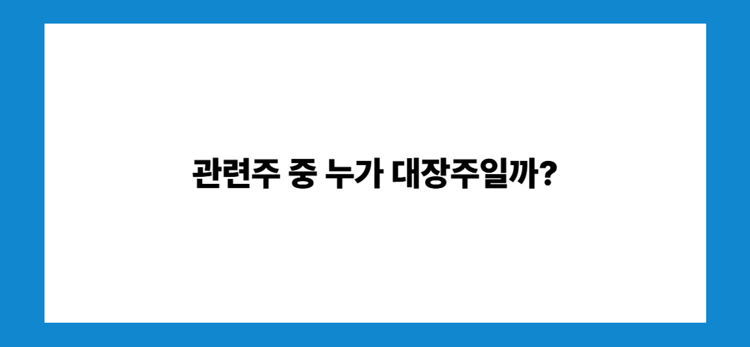 퓨리오사AI 관련주 및 대장주