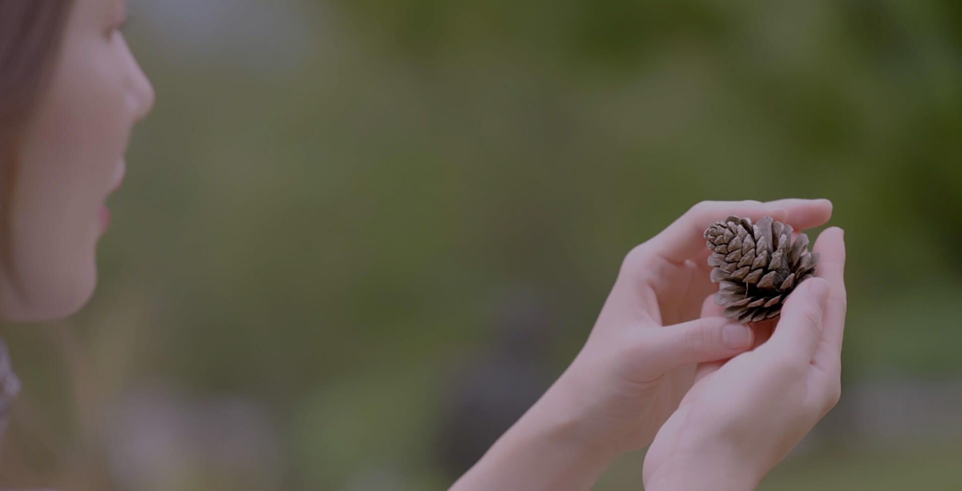 정선 로미지안가든 입장료 예약방법