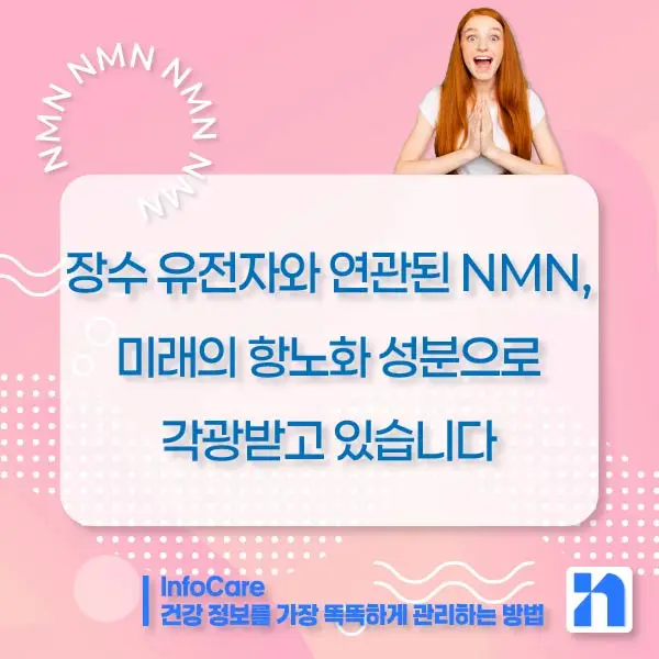 NMN 효능 효과 복용법