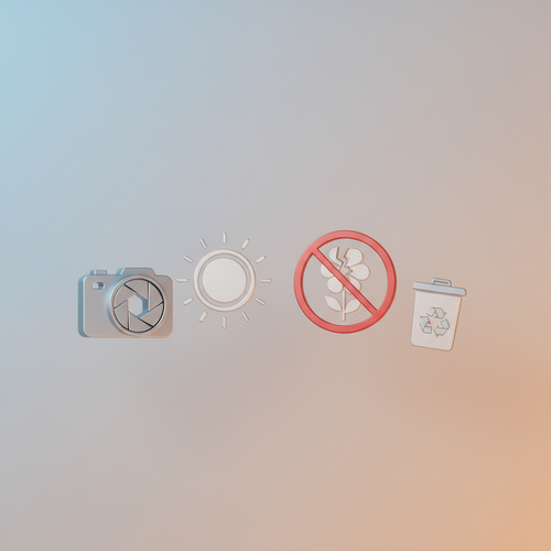 인생샷 필수! 유채꽃 배경 촬영 꿀팁과 주의사항