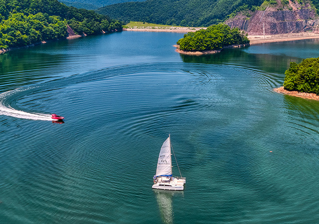 2025 증평인삼골축제&amp;#44;인삼 체험 축제