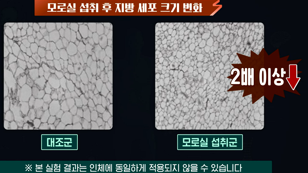 모로실