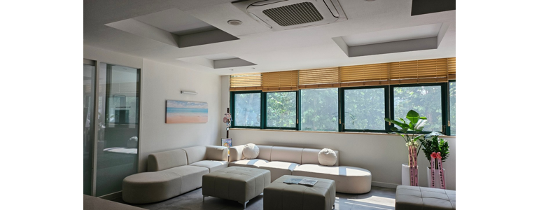 서울 강남구 내과