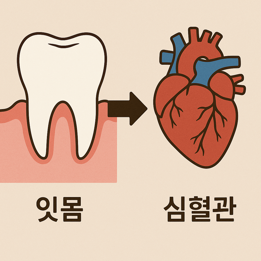 “구강 건강이 뇌 및 심장 건강에 미치는 영향 인포그래픽”
