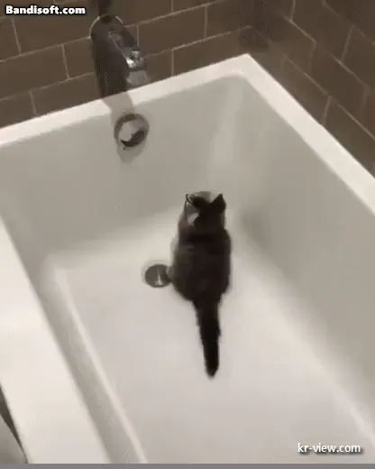 img.webp?credential=yqXZFxpELC7KVnFOS48ylbz2pIh7yKj8&expires=1767193199&allow_ip=&allow_referer=&signature=BRQccj74FGFDpuRpCadFxvWbNao%3D