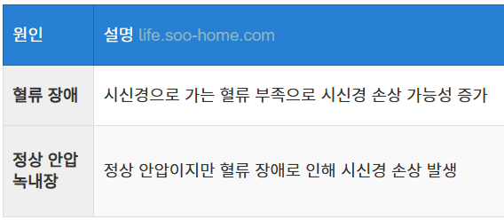 혈류 장애와 정상 안압 녹내장