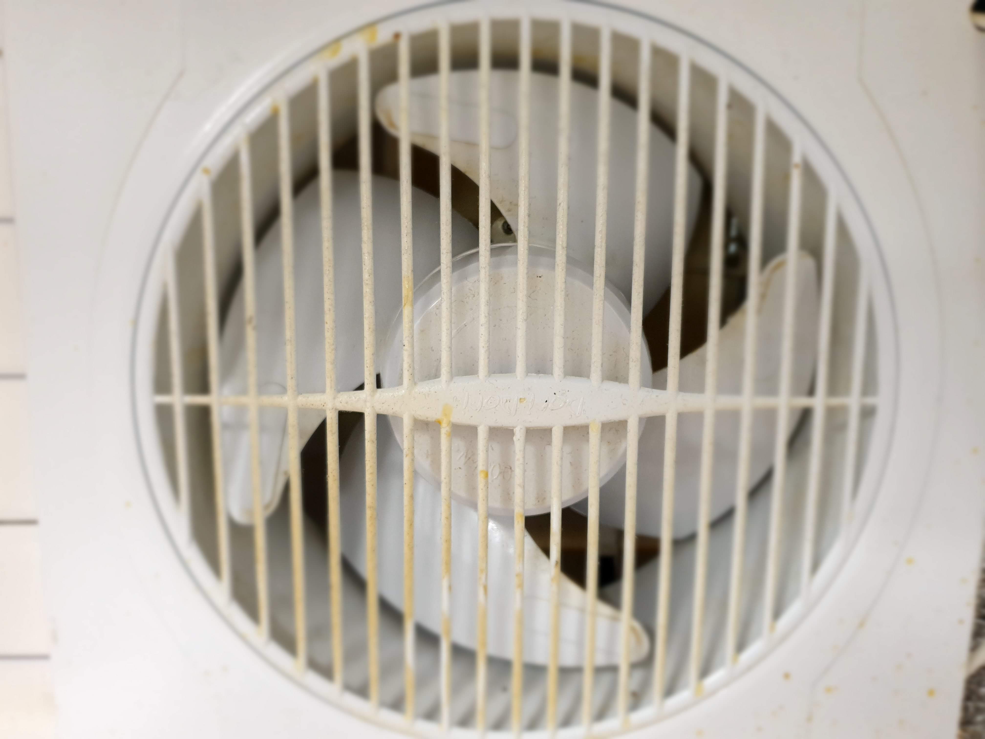 밀가루