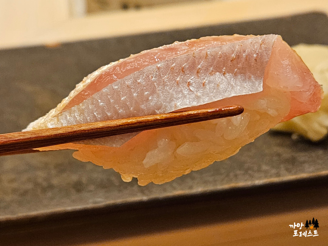 스시코우지 도미