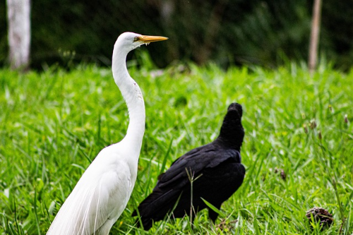 IRP계좌 만들기&amp;#44; 만드는 방법 알아보기