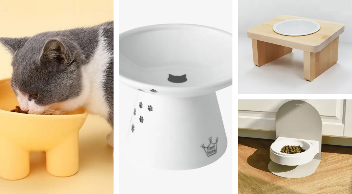 고양이-필수품-식기-종류