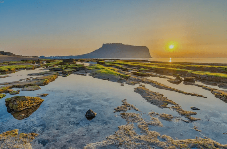 제주도 렌트카 자차보험 선택기준 (완벽 정리, 뜻)