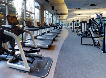 근력 강화를 위한 실용적인 운동 기구