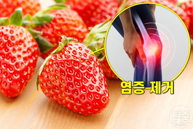 딸기 효능,장내 미생물 다이어트,만성염증에 좋은 음식