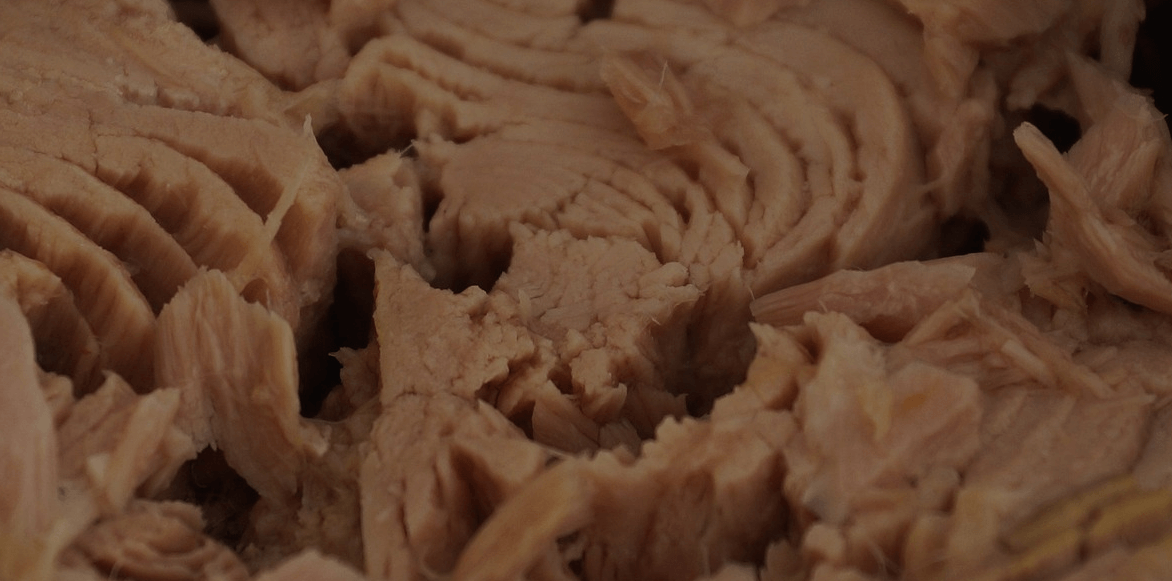 참치 효능과 관련된 사진 - 6