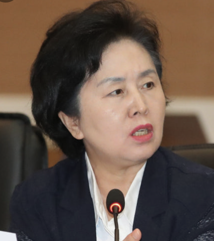 김영선 국회의원 프로필 김영선 오세훈 연애편지 구속 남편 가족