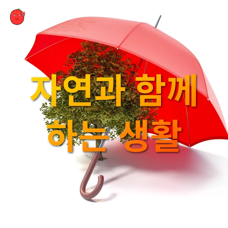 친환경 생활_2