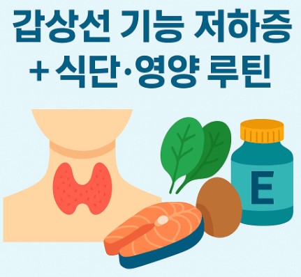 갑상선 기능 저하증 식단 안내 사진