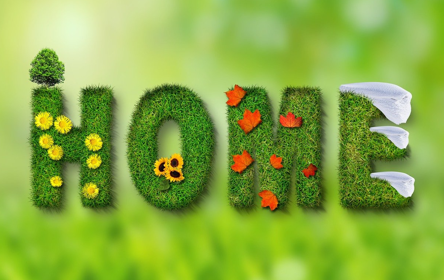 임대사업자 참고 사진