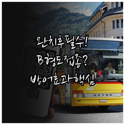 A형 독감 완치 후 B형 백신 접종 ..