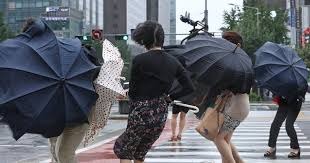 장마 대비 필수 체크리스트-비바람