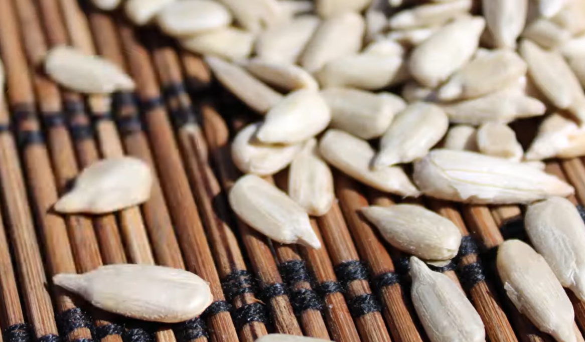 해바라기 씨 효능