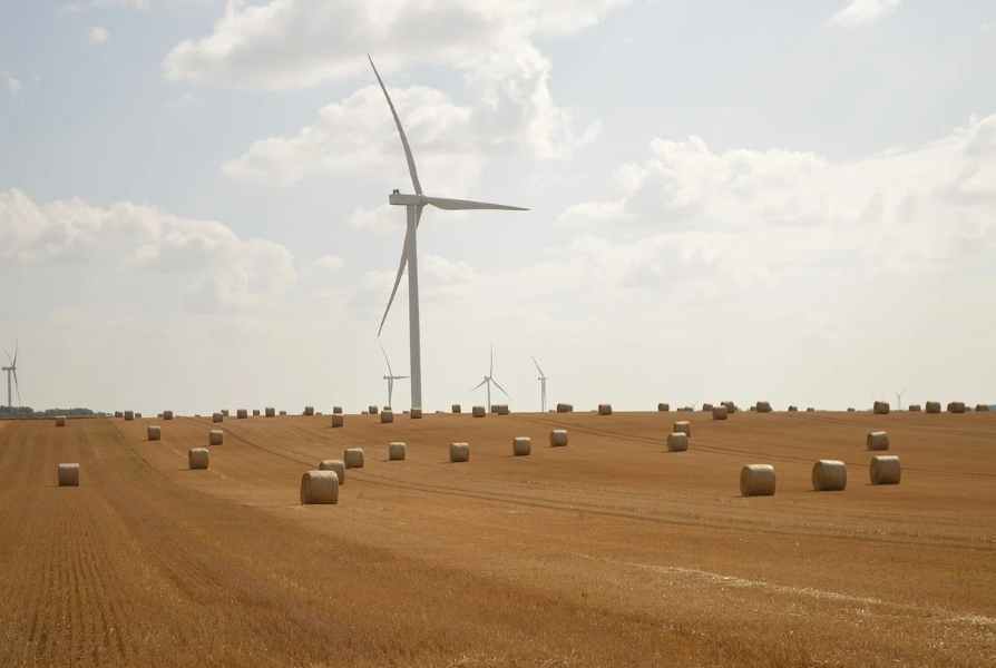 에코프로 기업은 어떤 회사일까? 친환경 소재 기술의 흐름 살펴보기