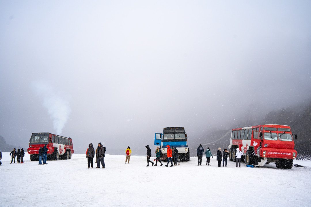 캐나다 컬럼비아 아이스필드 빙하