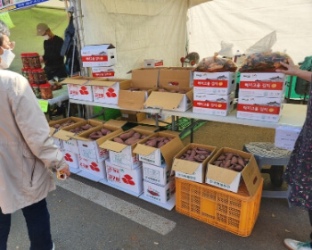 서산 국화축제_23