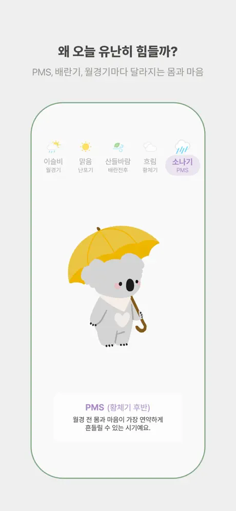 코코룸 살펴보기 5