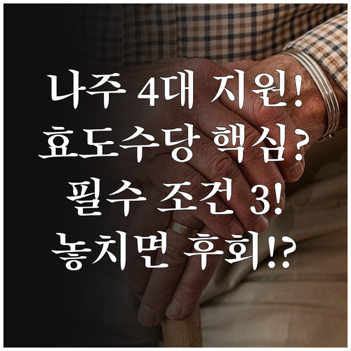 2025 나주시 4대 가정 효도수당 ..