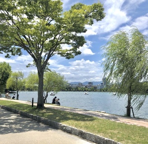 후쿠오카 효도여행