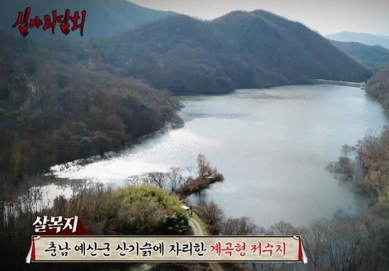 심야괴담회