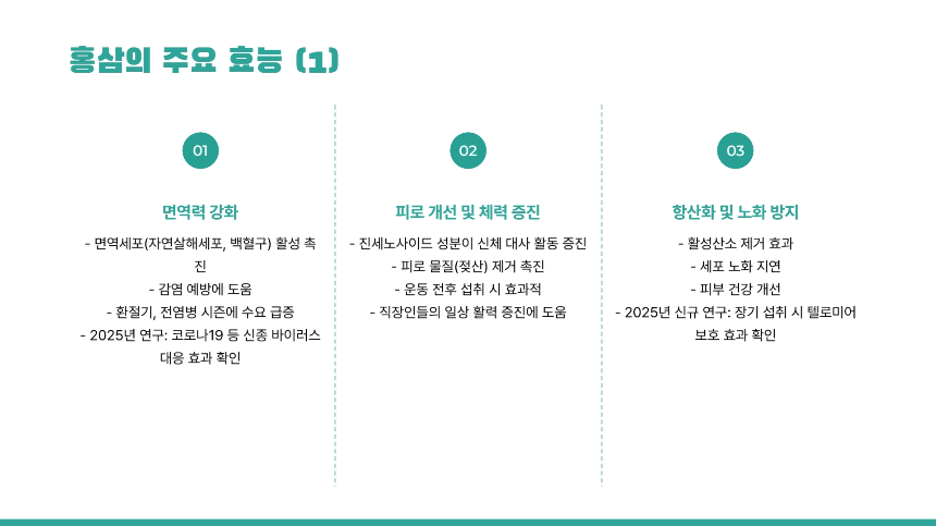 2025년 최신! 홍삼 건강식품의 모든 것 종류, 효능, 구매팁까지