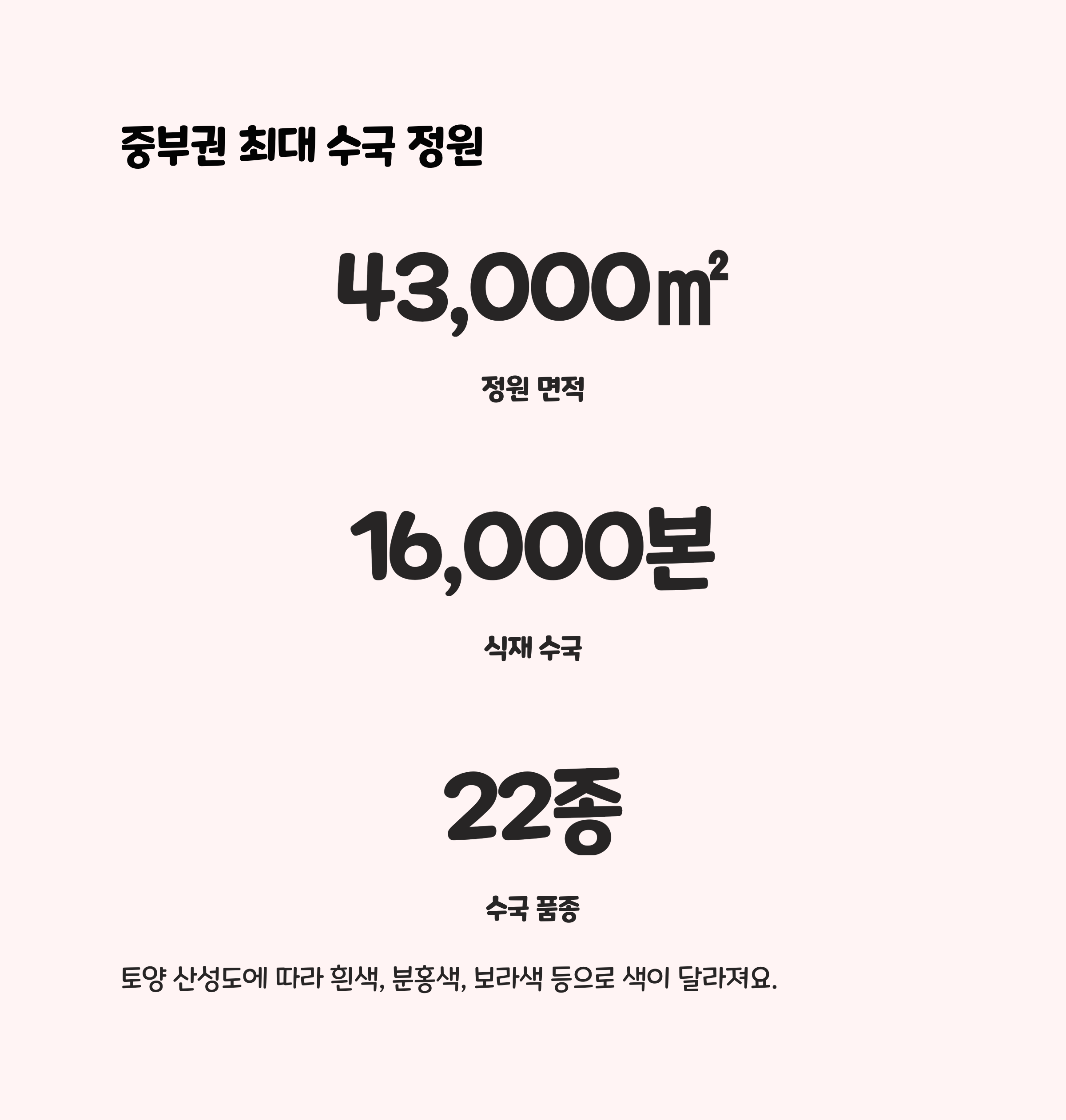 유구색동수국정원의 수국 종류