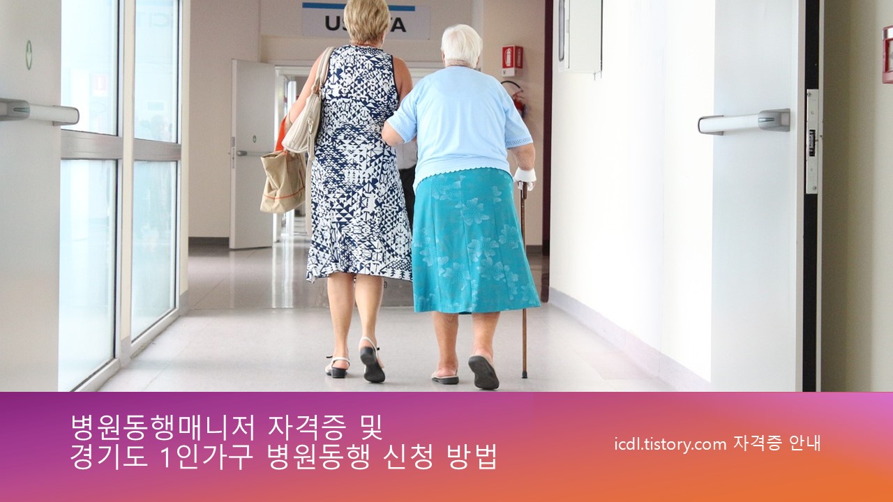 병원동행매니저 자격증 및 경기도 1인가구 병원동행 신청 방법