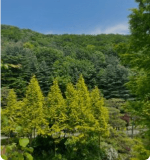 화담숲 예약하기