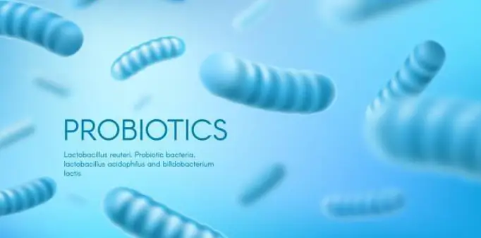 낙산균 효능과 부작용