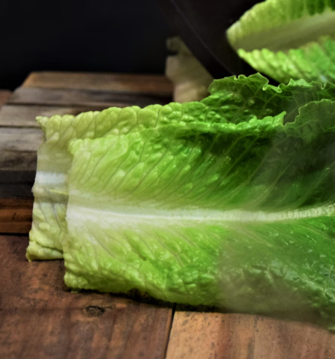 배추 효능 부작용 칼로리