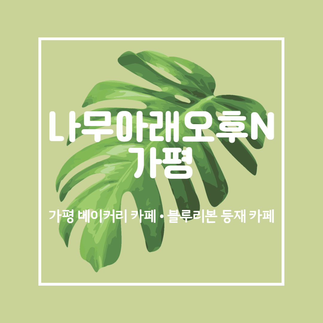 가평 나무아래오후