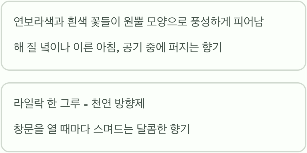 5월의 향기, 그 이상의 매력