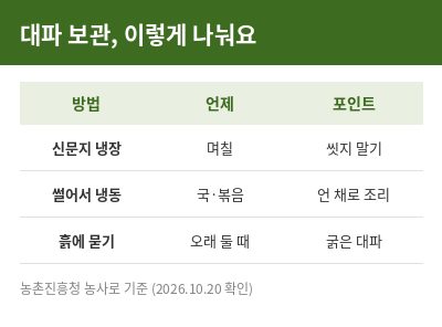 대파 보관법 방법별 정리