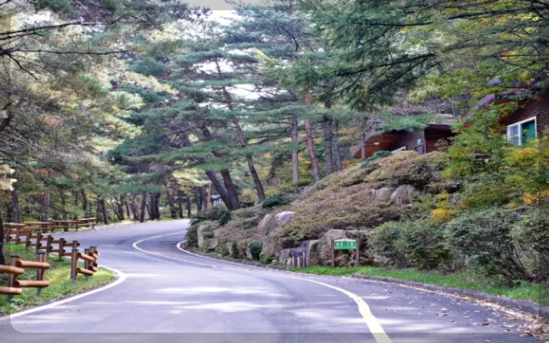 성주봉 자연휴양림