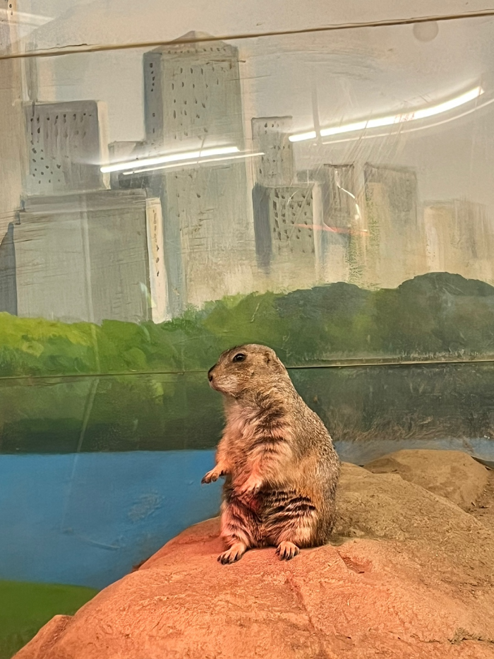 이름 머였더라 암튼 귀여움