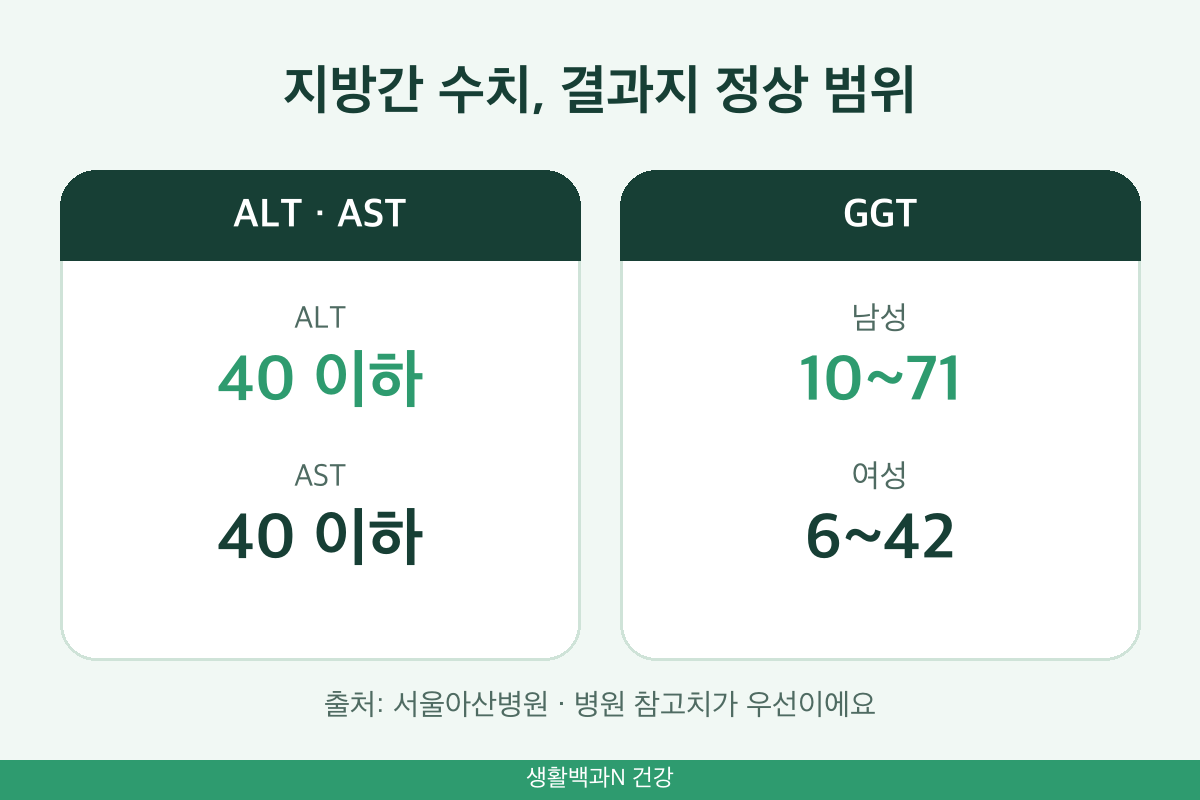 지방간 수치 ALT AST 40 이하 GGT 남성 여성 정상 범위 비교