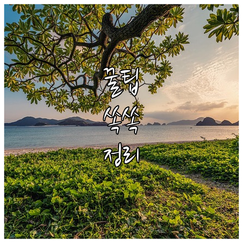 관악구민 2025 전세사기 월세 지원..