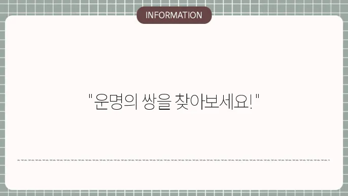 사주 궁합무료운세