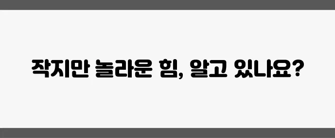 건포도 효능 (작은 한 줌의 건강 비밀)